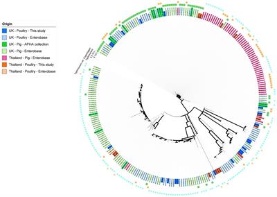 Pathogen genomics and phage-based solutions for accurately identifying and controlling Salmonella pathogens